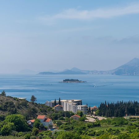 Pansion Arte Zvrko Daire Zvekovica Dış mekan fotoğraf